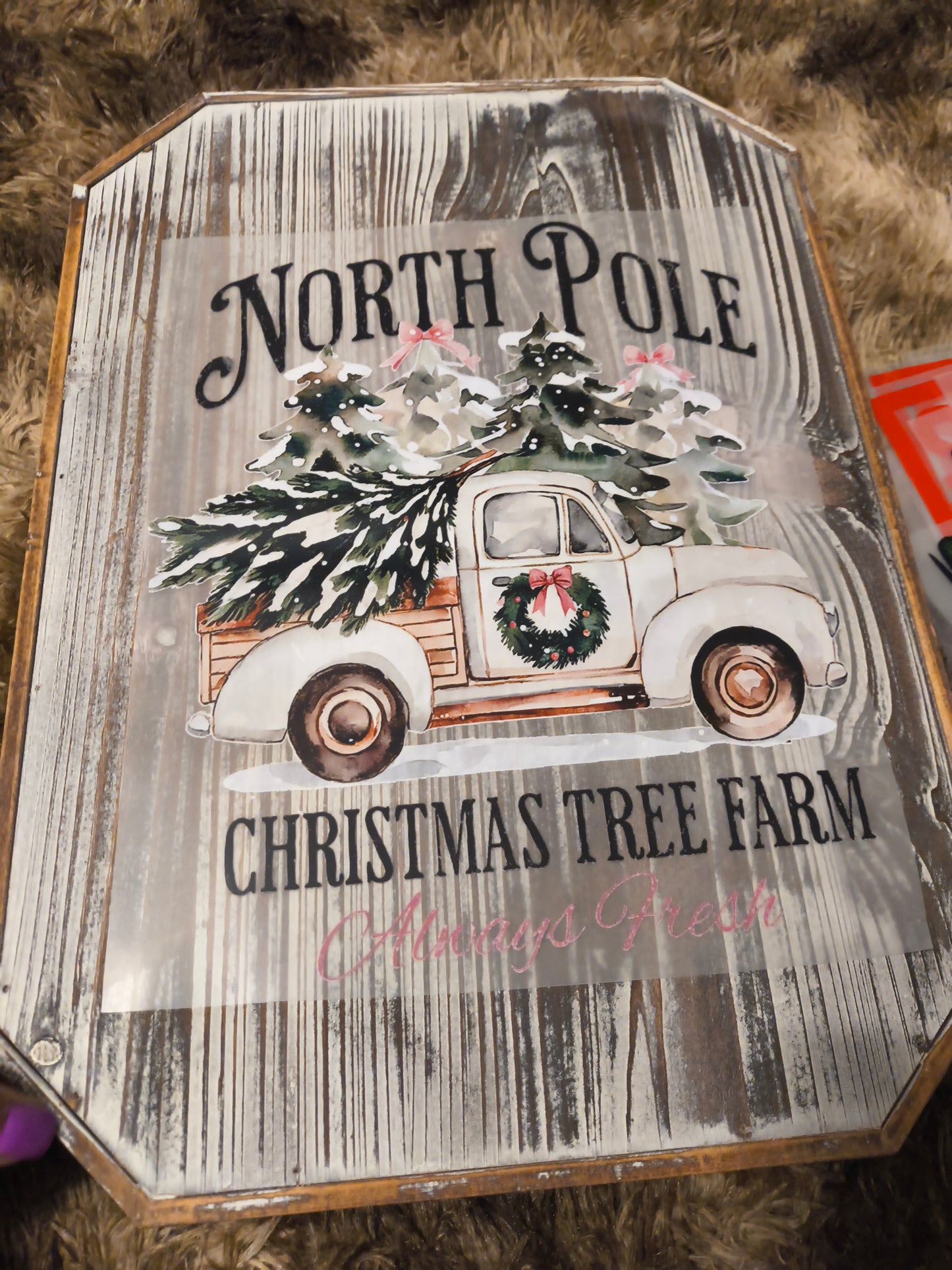 North Pole