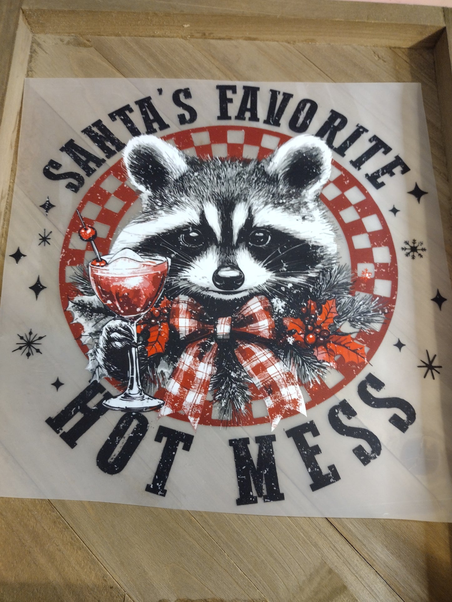 Racoon