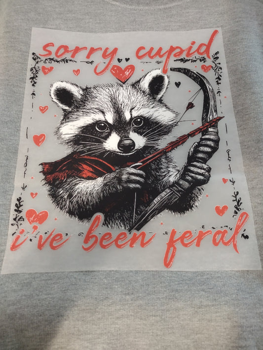 Raccoon