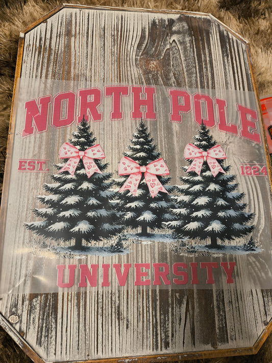 North Pole