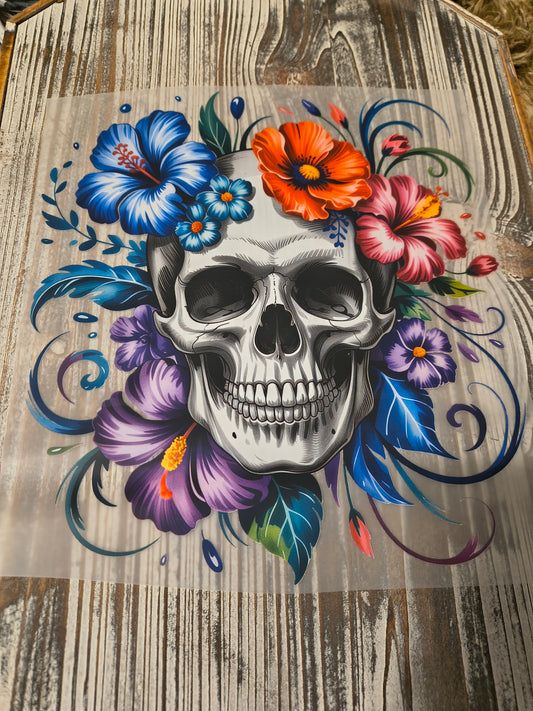 Skull